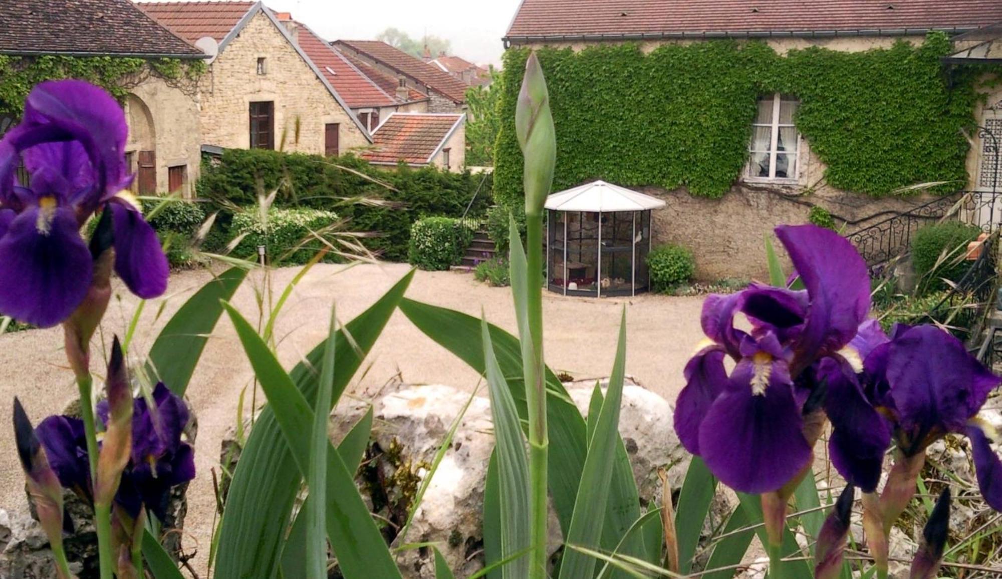 Le Chateau De Prauthoy Екстериор снимка